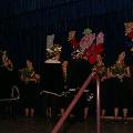 APrinsenbal09 025