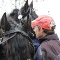 Boerenbruiloft - 036