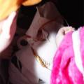 IMG_088